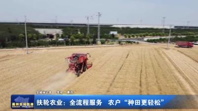 扶轮农业 : 全流程服务  农户“种田更轻松”