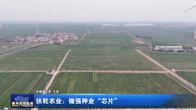 扶轮农业：做强种业“芯片”