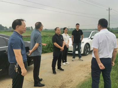 襄州区政协专题调研村集体经济赋能乡村振兴