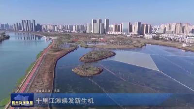 十里江滩焕发新生机
