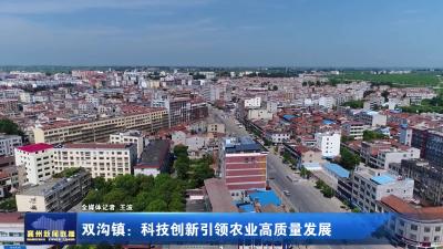双沟镇：科技创新引领农业高质量发展