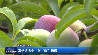 富铭达农业：与“李”相遇