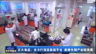 正大食品：全力打造高能级平台 助推生猪产业链发展