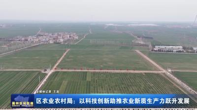 区农业农村局:以科技创新助推农业新质生产力跃升发展