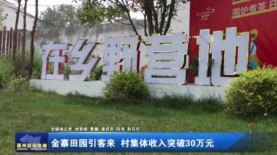 金寨田园引客来 村集体收入突破30万元