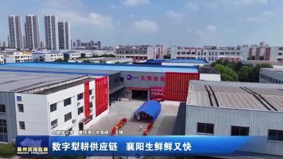 数字型耕供应链 襄阳生鲜鲜又快