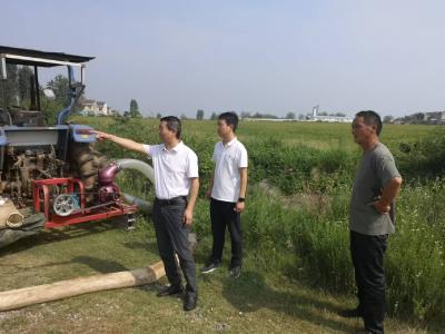 区领导到龙王镇检查指导工作