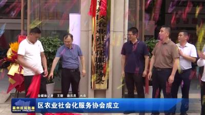 区农业社会化服务协会成立