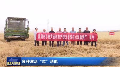 良种激活“芯”动能