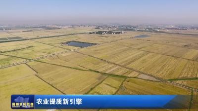 农业提质新引擎