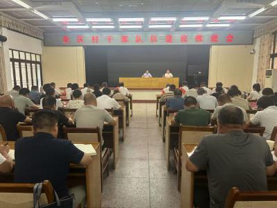 全区村干部队伍建设推进会召开