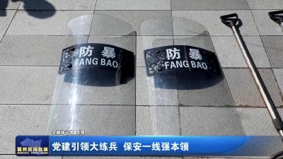 党建引领大练兵 保安一线强本领