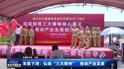 朱集下湾：弘扬“三大精神” 推动产业发展