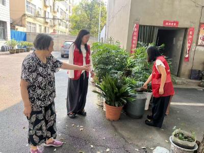 浩然街道育红社区积极开展蚊媒传染病 防范工作 全力守护居民健康