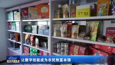 让数字技能成为农民致富本领