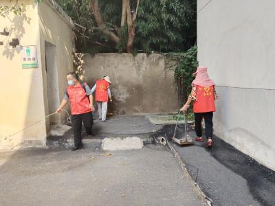 程河镇人大：助力环境整治 共建和美乡村