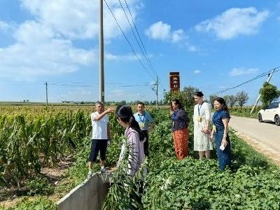 黄集镇人大视察民生实事项目 推动民生福祉再提升