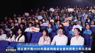 团区委开展2025年国家网络安全宣传周青少年日活动