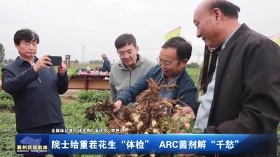 院士给重茬花生“体检”ARC菌剂解“千愁”