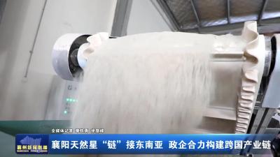 襄阳天然星“链”接东南亚 政企合力构建跨国产业链