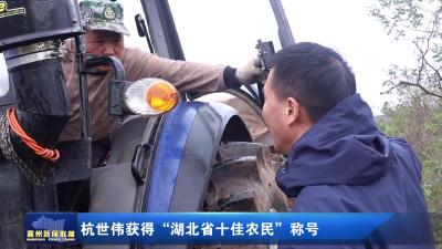 杭世伟获得“湖北省十佳农民”称号