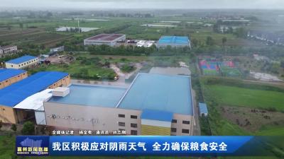 我区积极应对阴雨天气 全力确保粮食安全