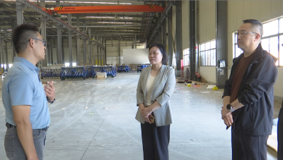 区领导调研重点项目建设情况