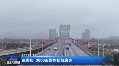 迎国庆 3000面国旗扮靓襄州