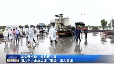 龙头带小微 签约促共赢湖北中小企业组团“取经”正大集团