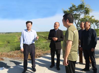 刘明锋：坚持系统性谋划 提速全域国土综合整治  夯实粮食与生态安全根基