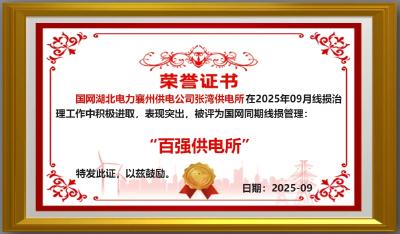 全国第一！襄州供电公司一站所入选国网“百强所”