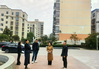 区领导到伙牌镇调研督导信访积案化解工作