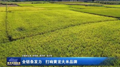全链条发力，打响黄龙大米品牌