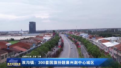 双沟镇：300套国旗扮靓襄州副中心城区