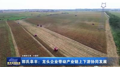 郭氏阜丰：龙头企业带动产业链上下游协同发展