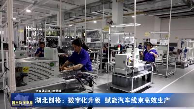 湖北创格：数字化升级 赋能汽车线束高效生产