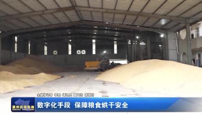 数字化手段 保障粮食烘干安全