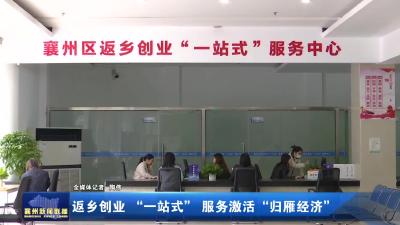 返乡创业 “一站式” 服务激活“归雁经济”