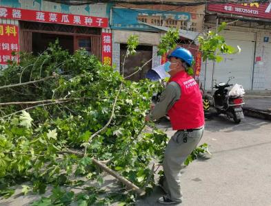 双沟供电所：集中清理树障 护航线路安全运行