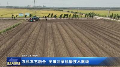 农机农艺融合 突破油菜机播技术瓶颈