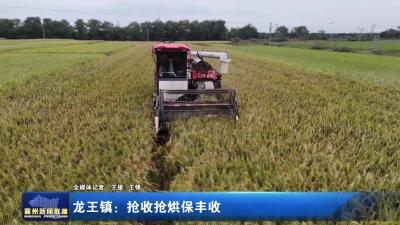 龙王镇：抢收抢烘保丰收