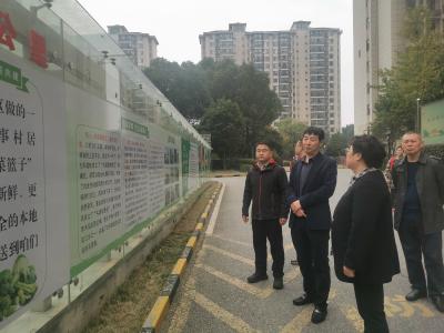 区领导到浩然街道东升社区调研城市精神文明建设工作