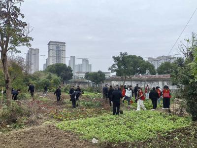 襄州区城管执法大队开展市容提质集中整治行动