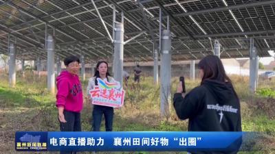 电商直播助力  襄州田间好物“出圈”