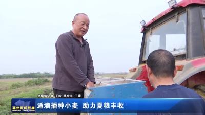 适墒播种小麦 助力夏粮丰收