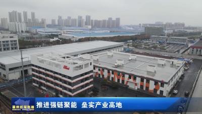 推进强链聚能 垒实产业高地