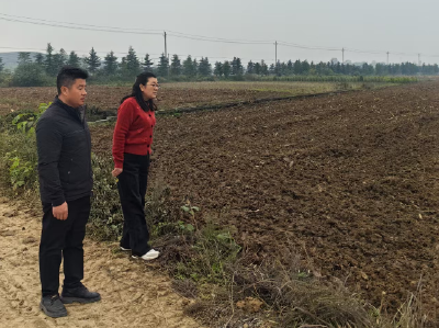 伙牌镇人大：实地督办秸秆禁烧与秋播生产工作