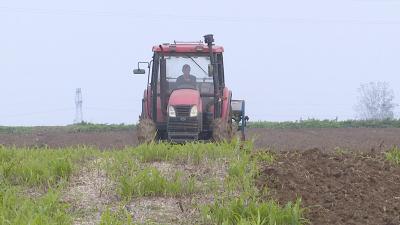 襄州：适墒播种小麦 助力夏粮丰收