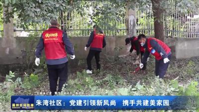 朱湾社区：党建引领新风尚 携手共建美家园