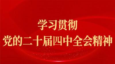 学习贯彻党的二十届四中全会精神